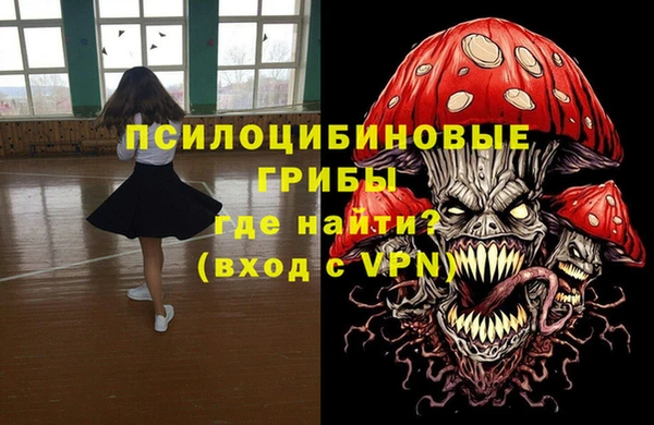 spice Медногорск