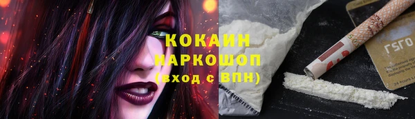 spice Медногорск
