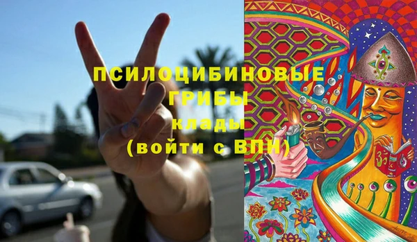 дурь Медвежьегорск