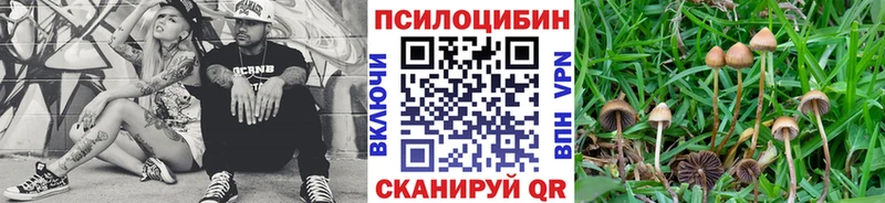 сайты даркнета клад  Набережные Челны  Галлюциногенные грибы MAGIC MUSHROOMS 