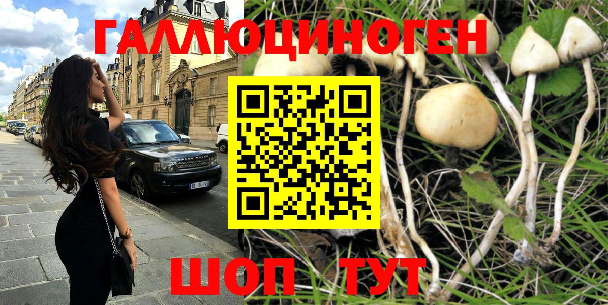 Галлюциногенные грибы Cubensis  Набережные Челны 